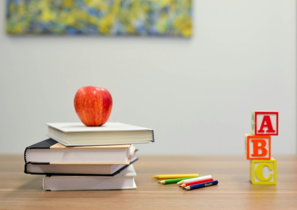 Desarrollo infantil